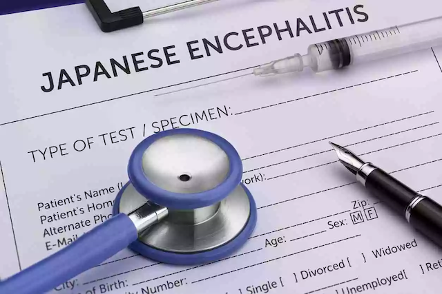 Vaccinations - Japanese B Encephalitis (course of 3 injections £150)